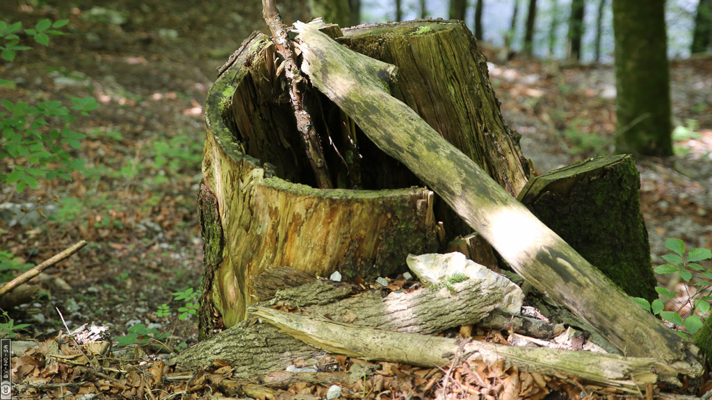 Eingang zur Erlebniswelt