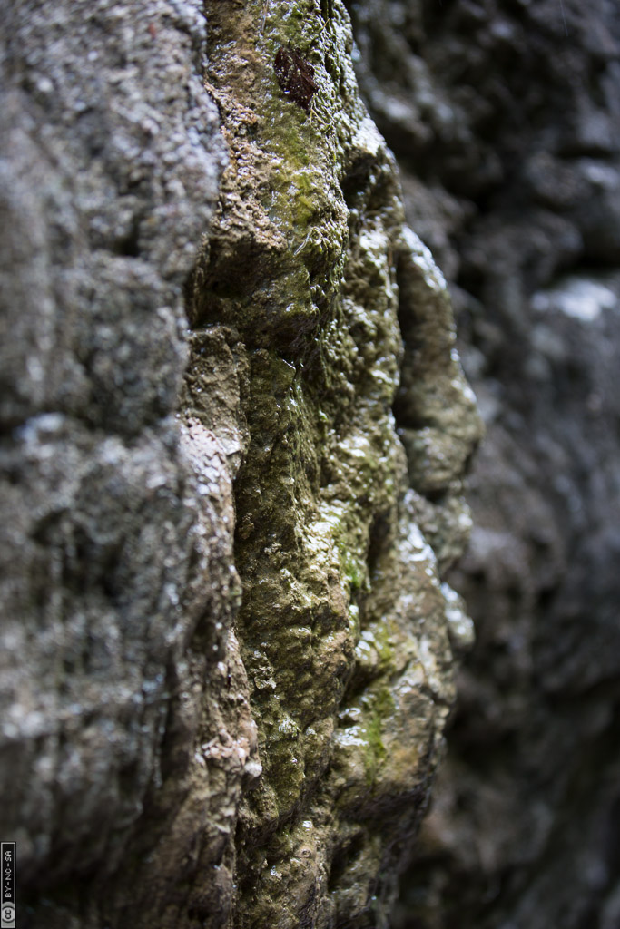 Erlebniswelt Medlingtal