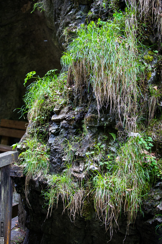 Erlebniswelt Medlingtal