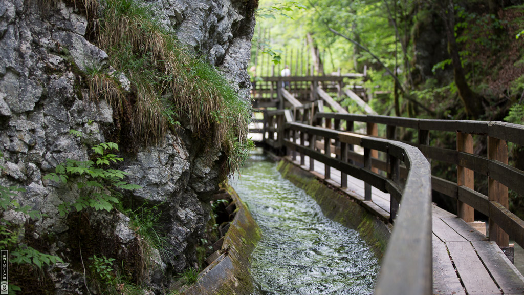 Erlebniswelt Medlingtal