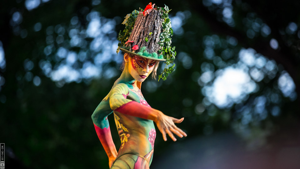 World Bodypaint Festival 2013