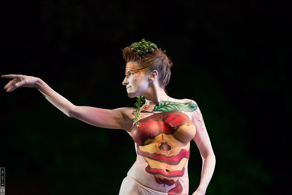 World Bodypaint Festival 2013