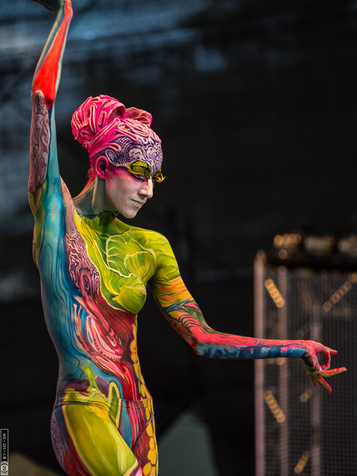 World Bodypaint Festival 2013