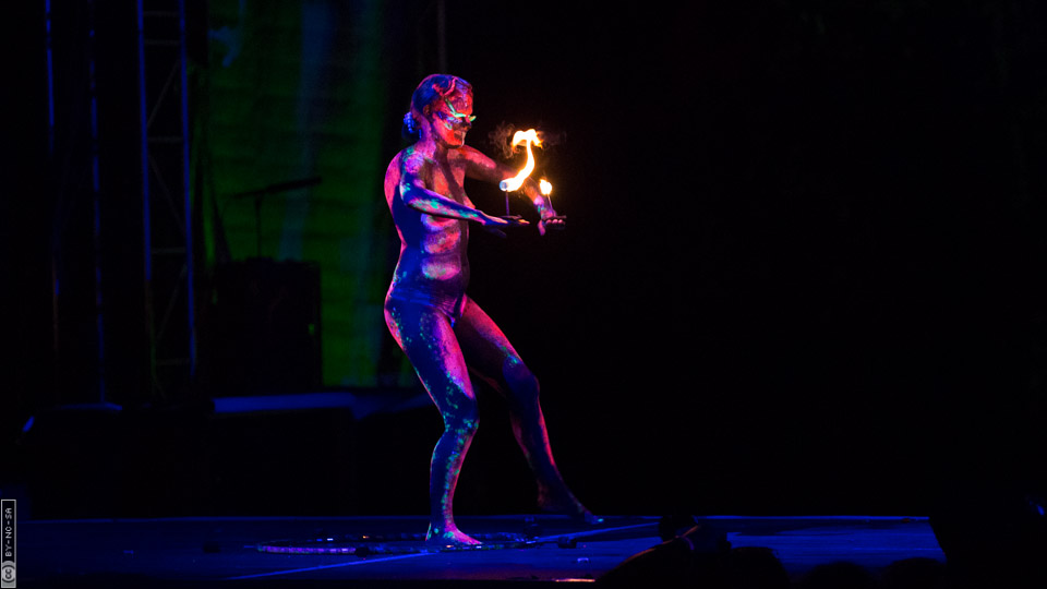 World Bodypaint Festival 2013