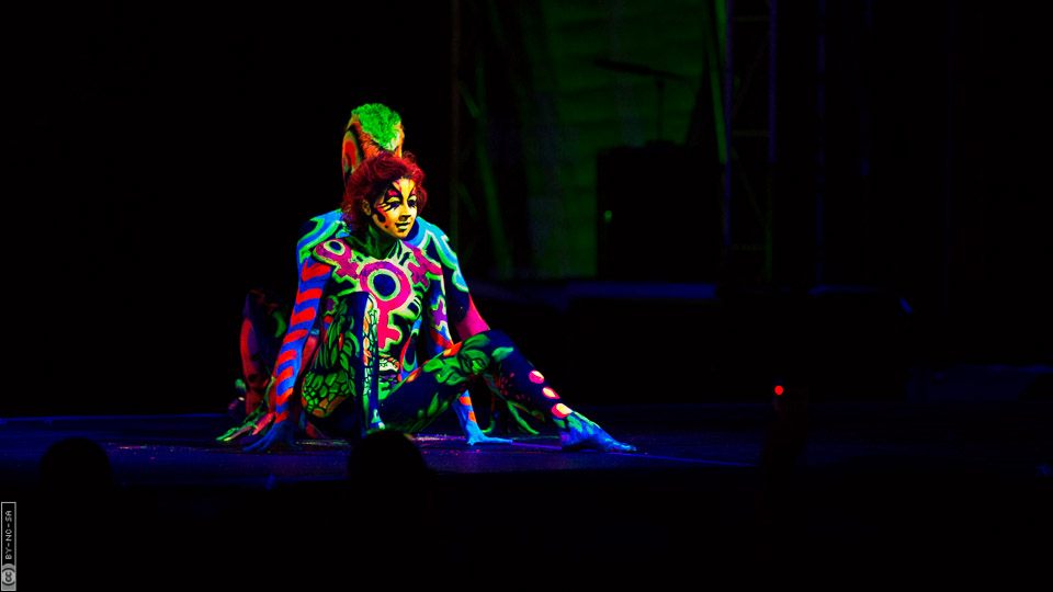 World Bodypaint Festival 2013