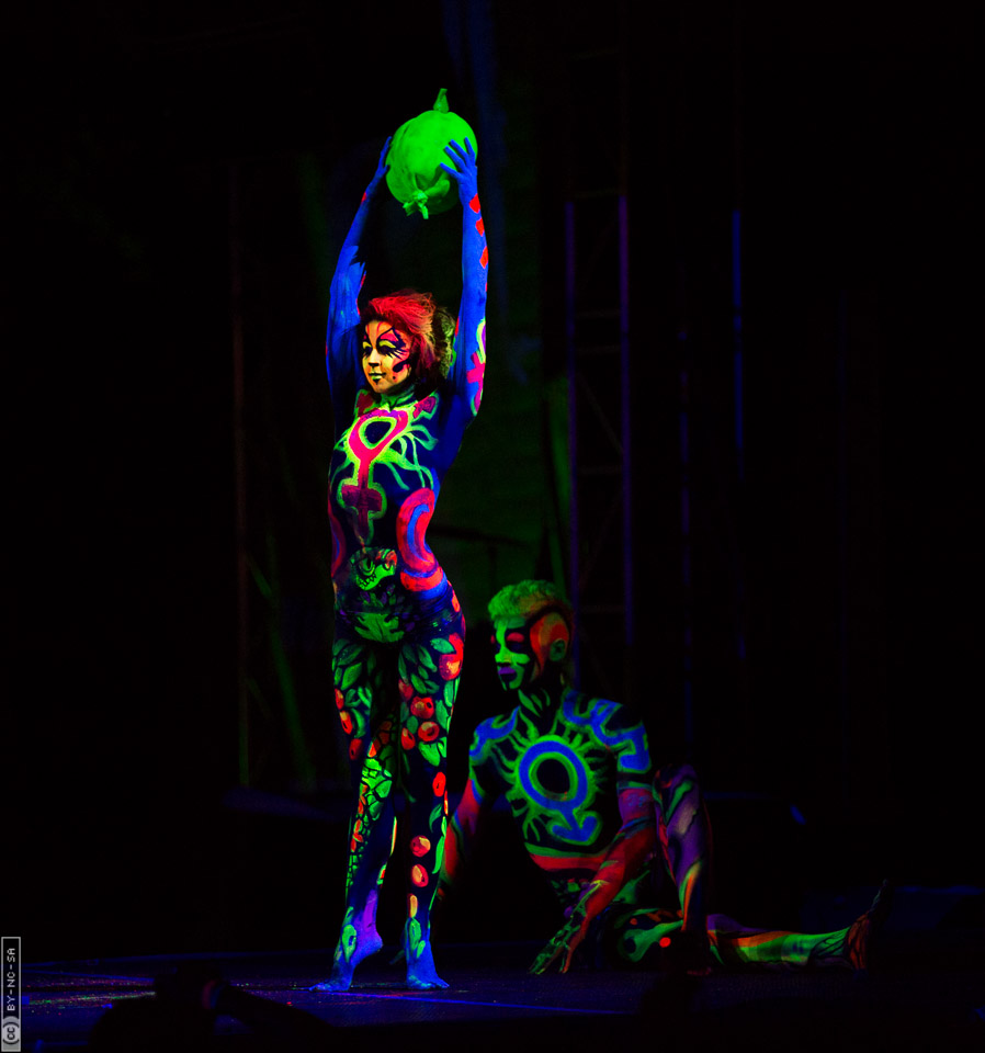 World Bodypaint Festival 2013