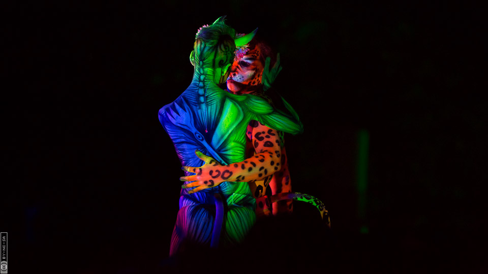 World Bodypaint Festival 2013