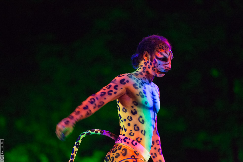 World Bodypaint Festival 2013